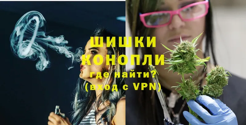 Марихуана OG Kush  Беломорск 